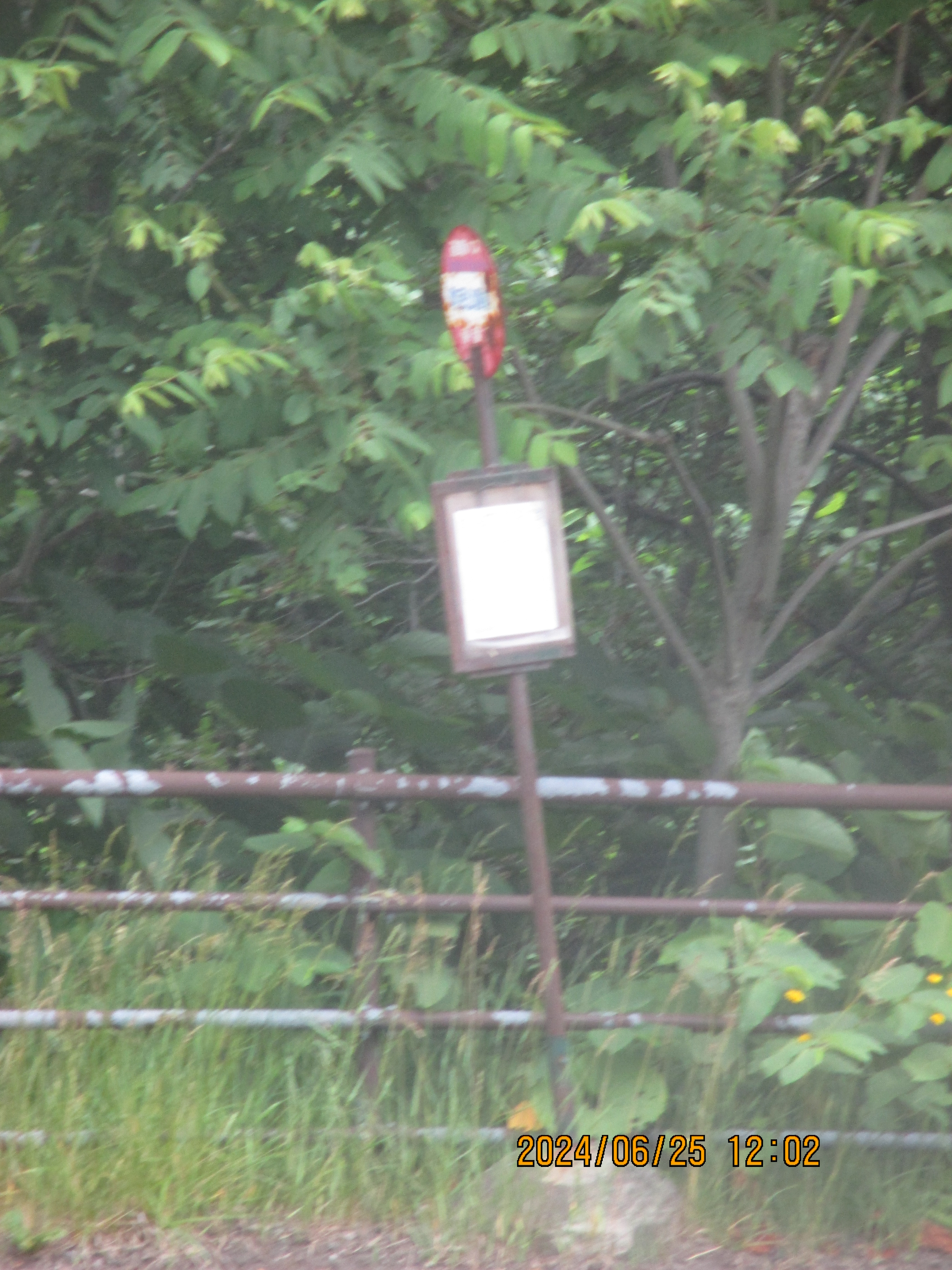 ���������O