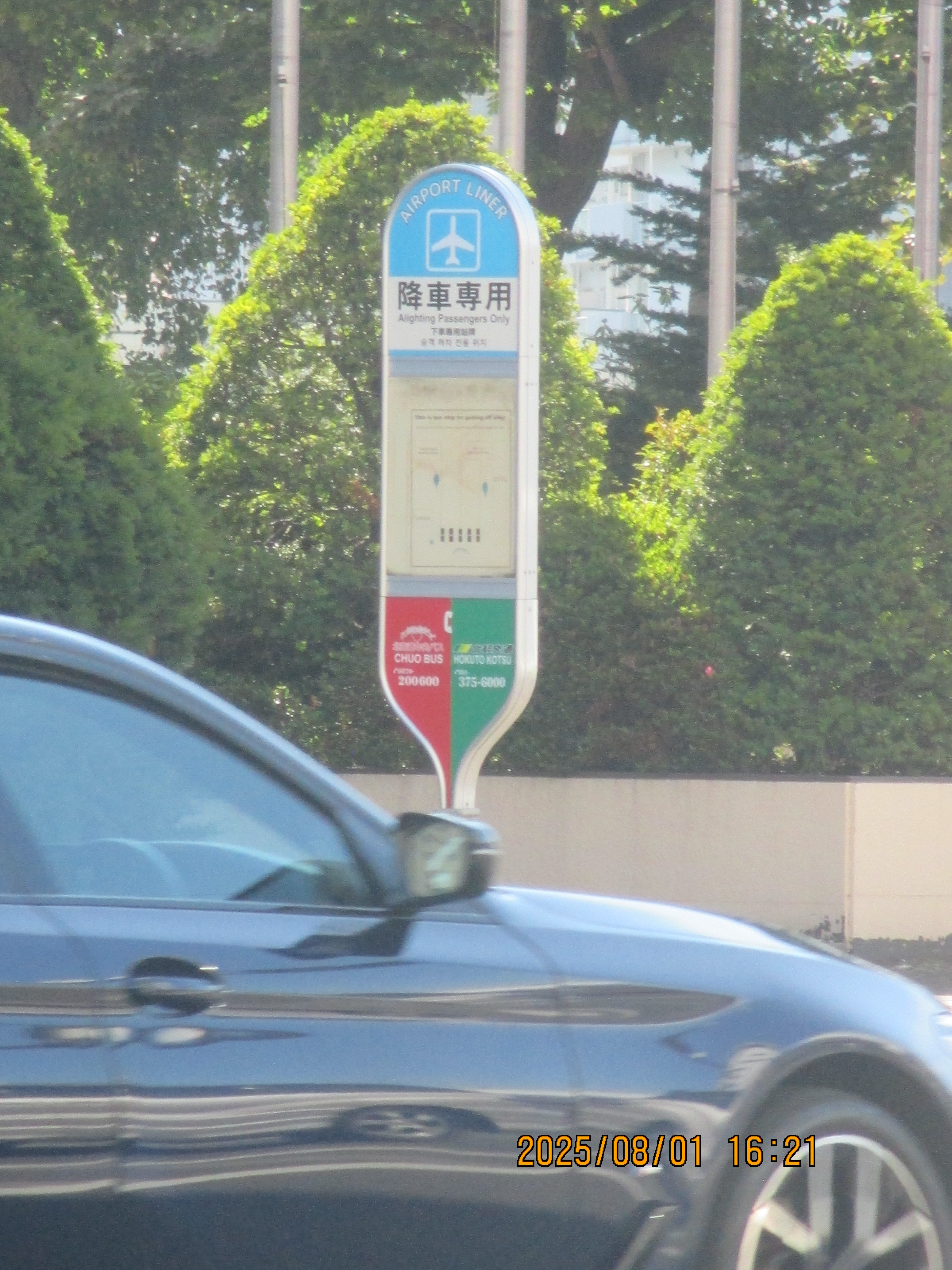 �����o�X���p