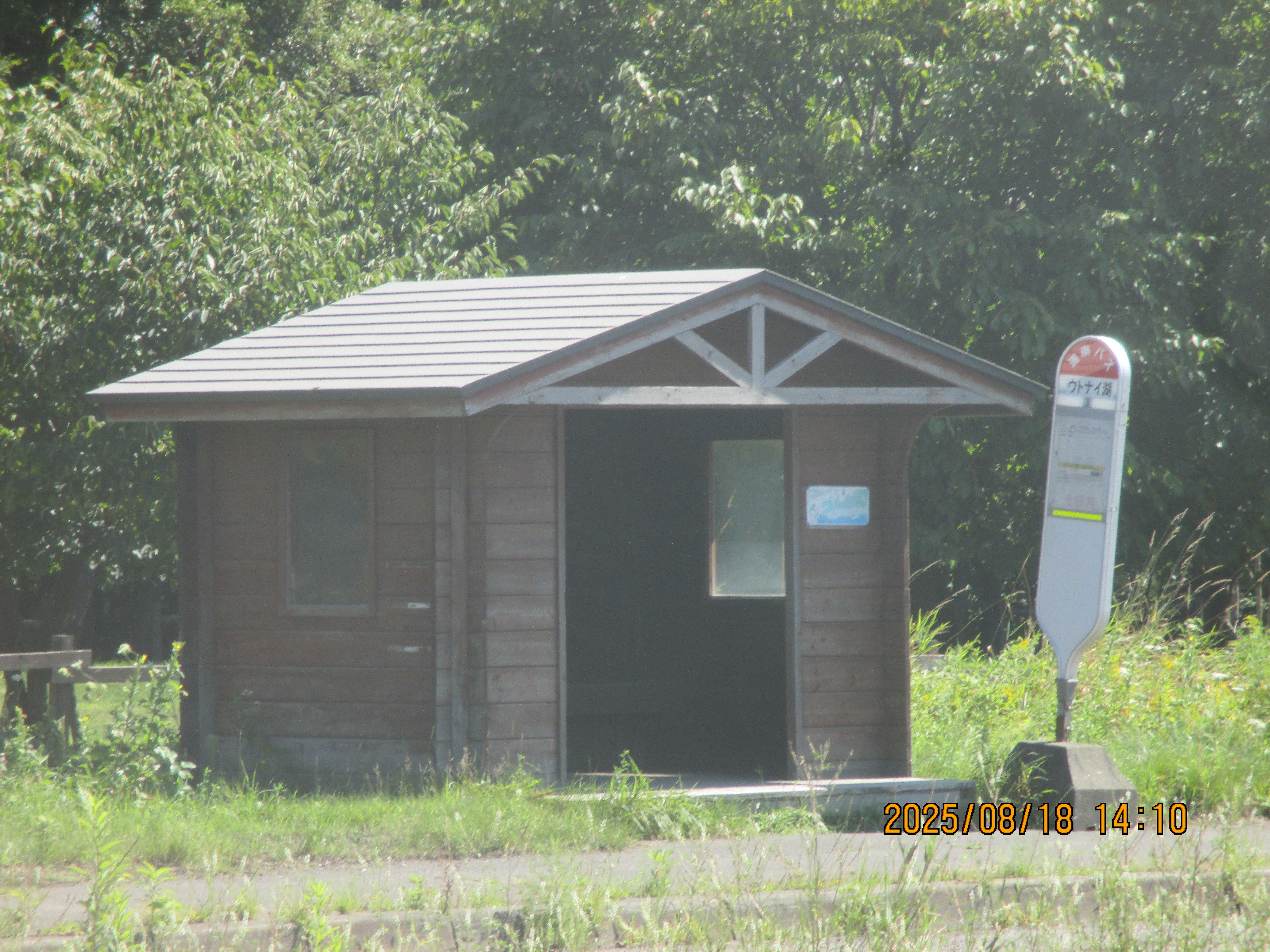 �E�g�i�C��