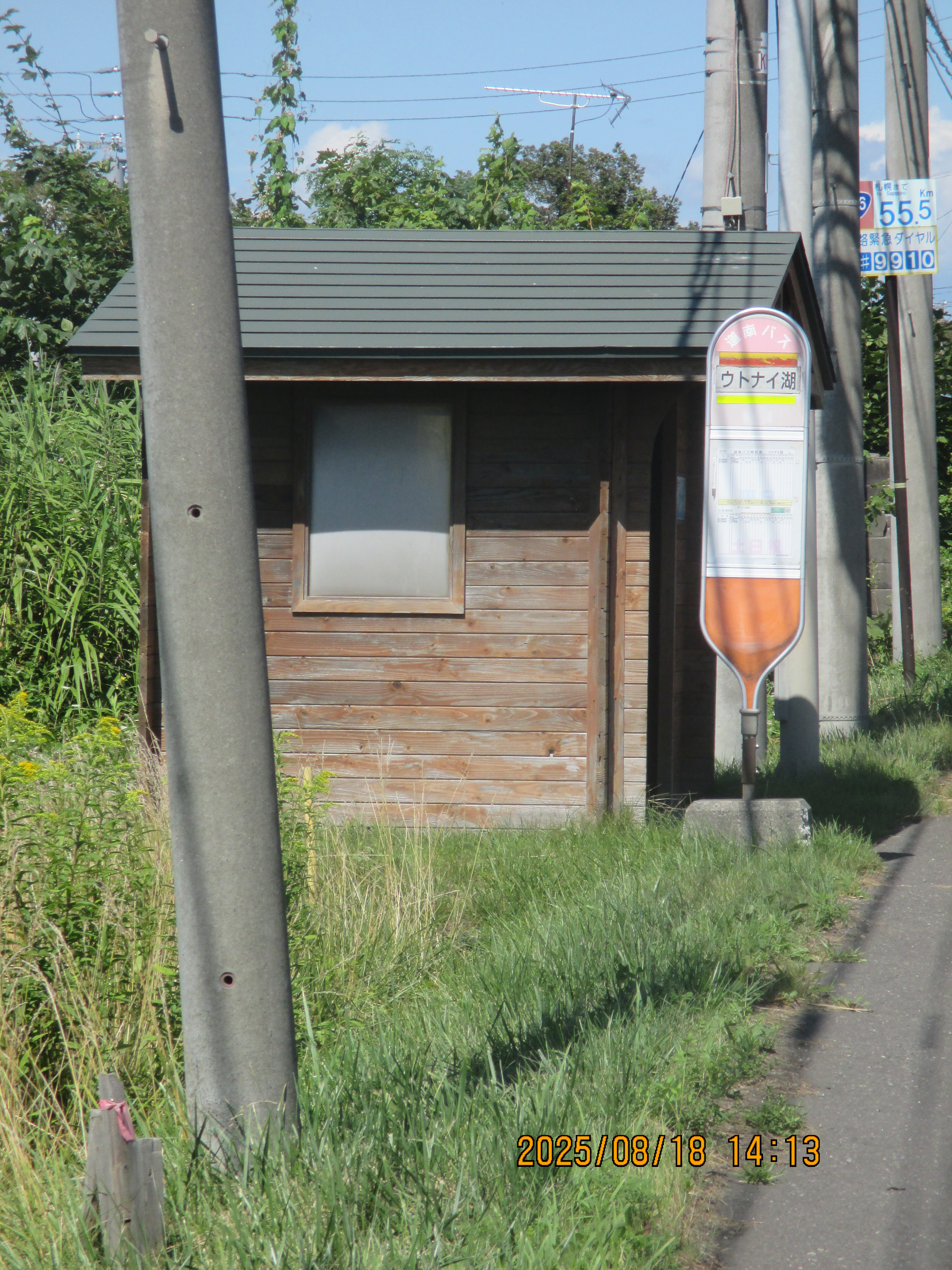 �E�g�i�C��