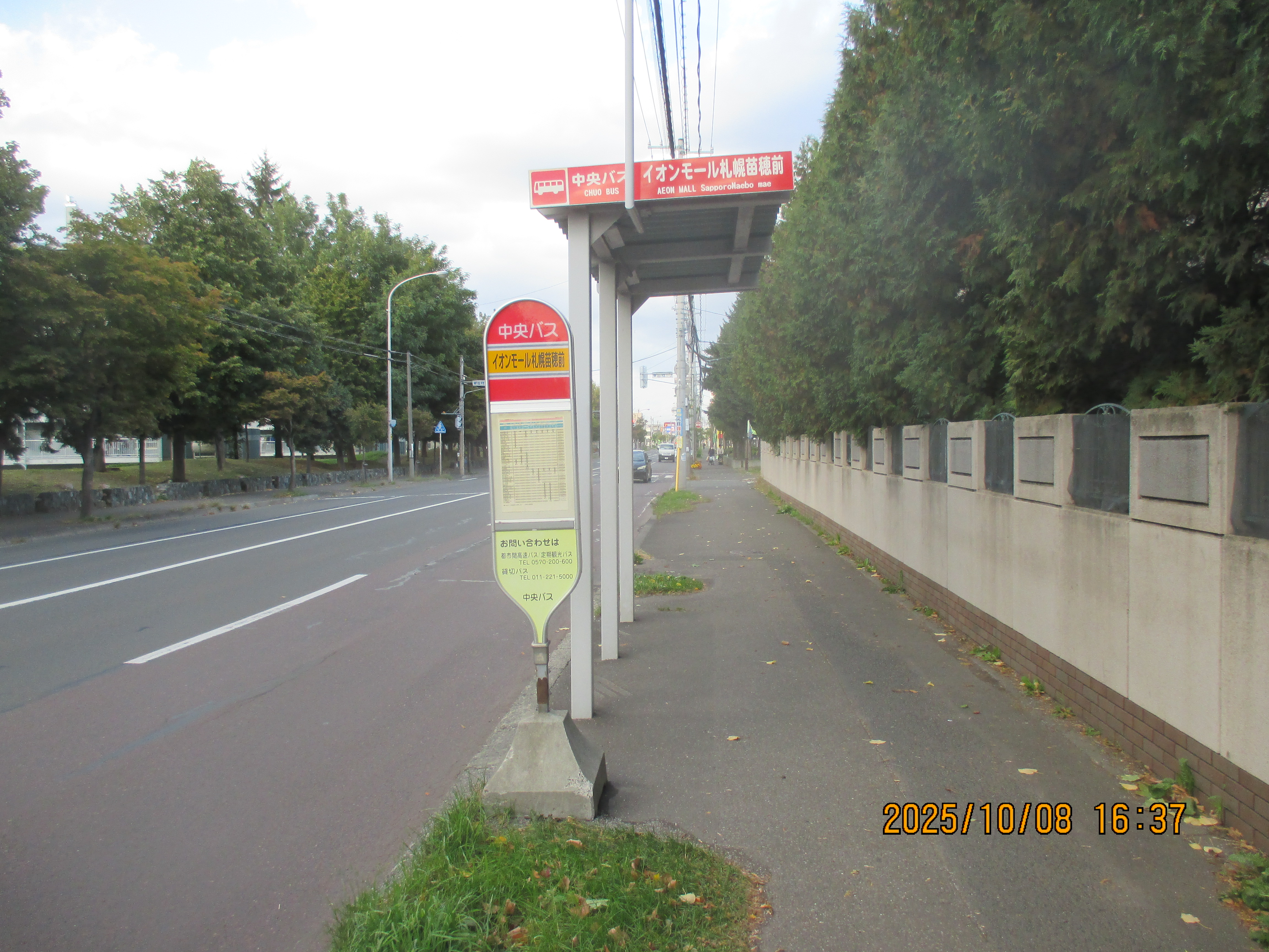 �C�I�����[���c��O