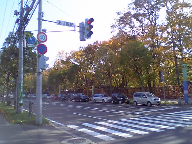 �ӏH�̍g�t�Ɉ͂܂��m������