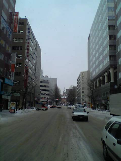 �k�C�������o�b�N�ɂ�����i�F