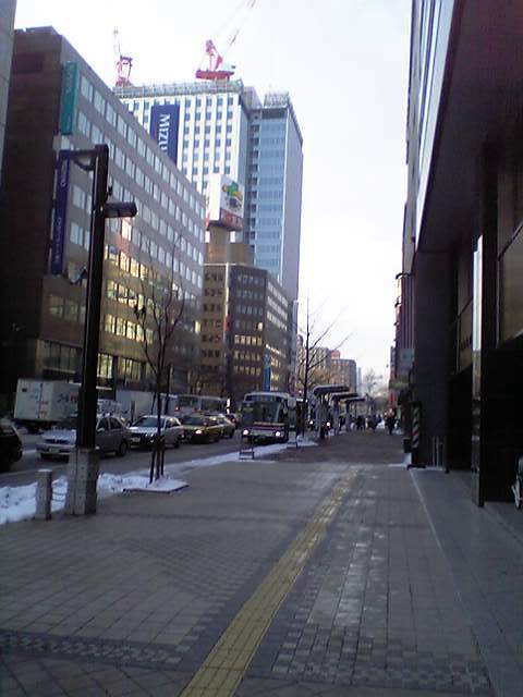 �D�y�����O�̒��̐�i�F