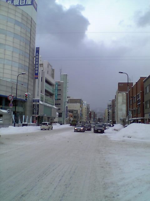 �n���S��18���ډw�t�߂����q�R�V�����c�F��]��